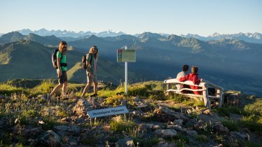 Alpenblumengarten am Kitzbühler Horn, © KitzSki / Werlberger