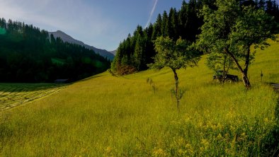 Landschaft vor dem Haus