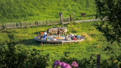 Yoga in freier Natur