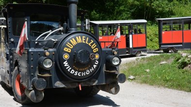 Bummelzug FG Lisa Gruber Rechte Wildschönau Touris