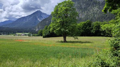 Münster-Sommer