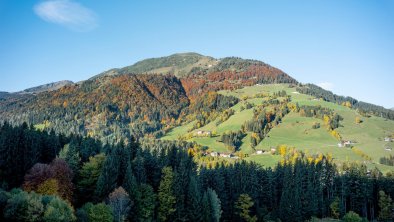 Ausblick Herbst