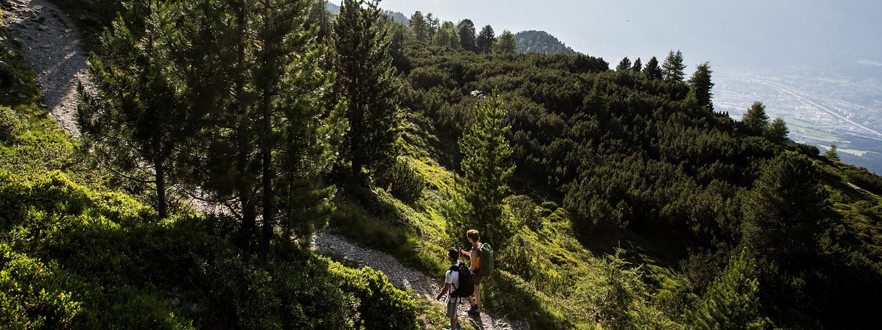 Zirbenweg vom Patscherkofel zum Glungezer, © Region Hall-Wattens/Daniel Zangerl