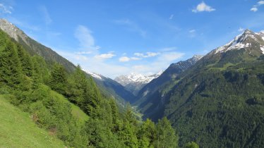 Blick in den vorderen Zillergrund, © Hochgebirgs-Naturpark Zillertaler Alpen