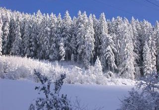 Winterpanorama