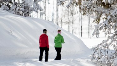 Winterwanderung in Waidring, © Andreas Langreiter