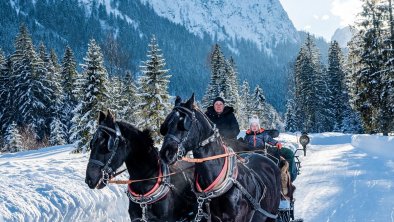 Pferdekutschenfahrt mit der Familie am Achensee  F