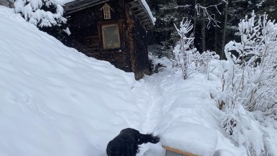 Der Winter-Weg vom Schuppen zurück.