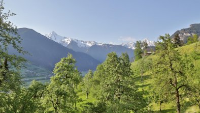 Neuhaushof Hippach - Sommer