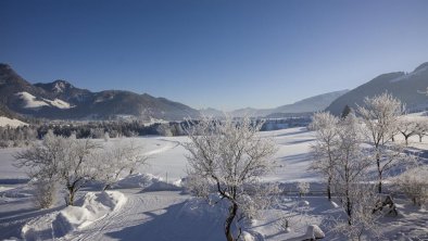 Ausblick auf Loipe und Walchsee