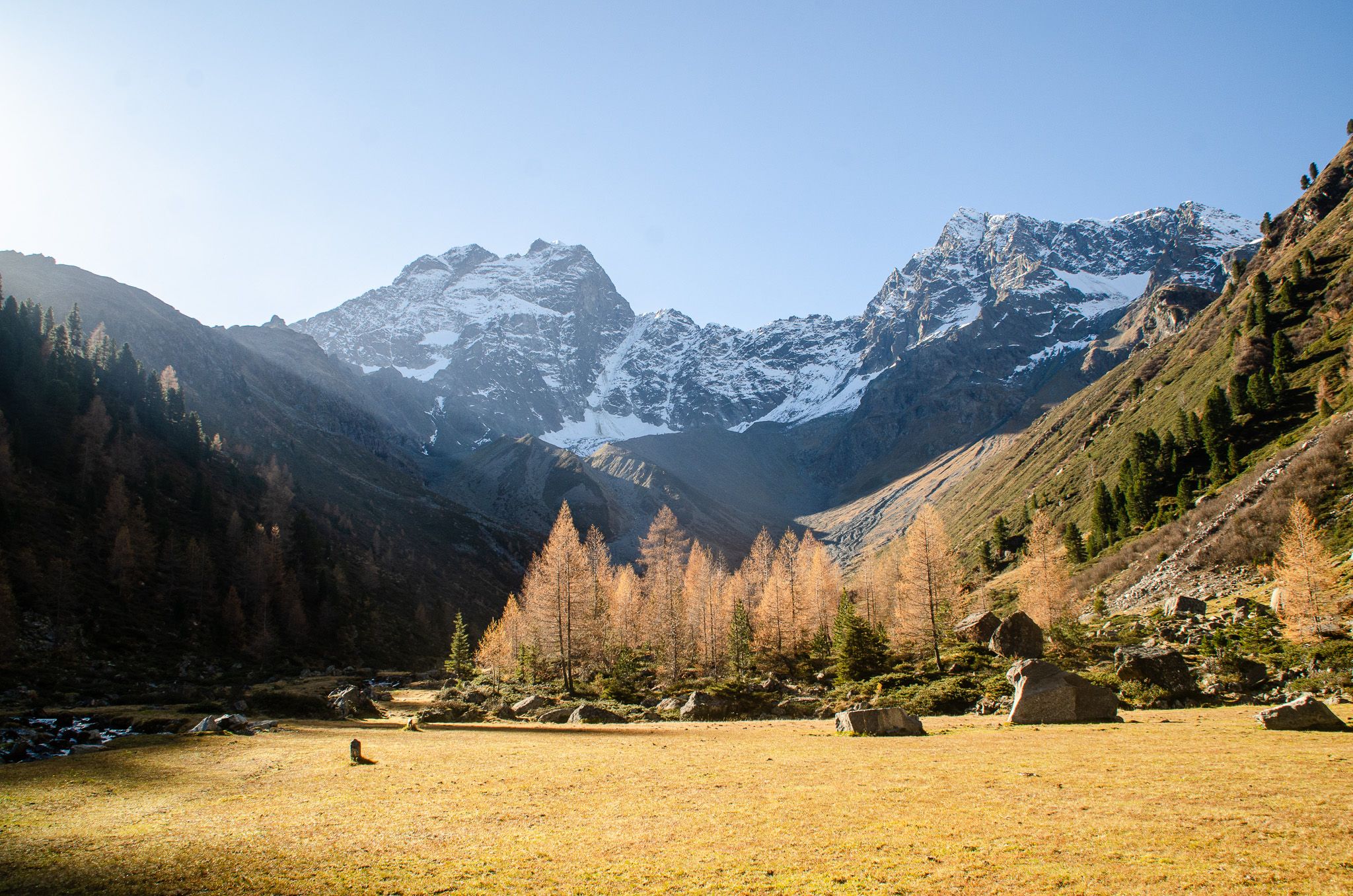 warmes Herbstlicht in einem Hochtal, orangene Lärchen, schneebedeckte Gipfel am Talenende