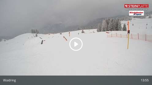 Webcam Snowpark / Triassicpark