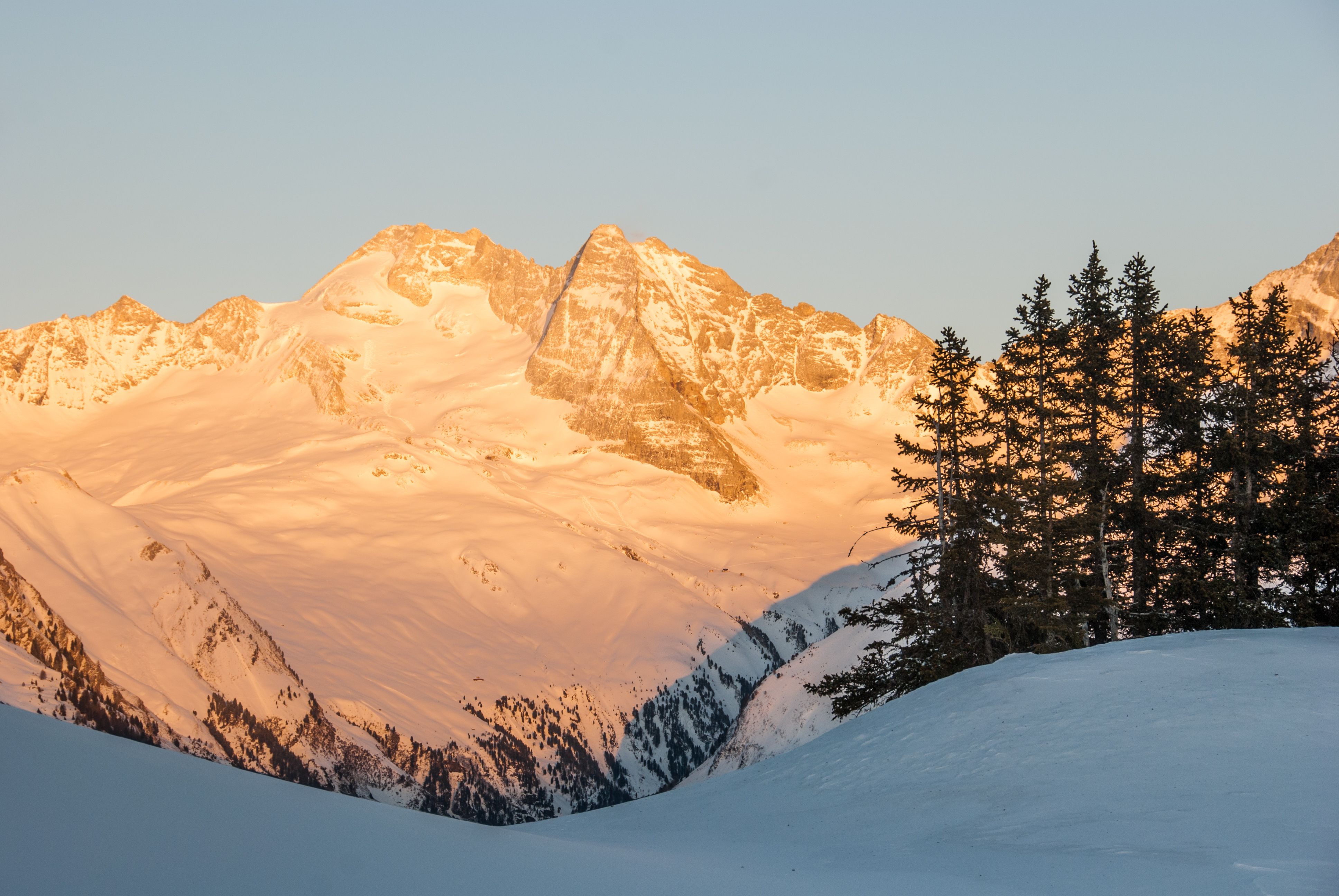 leuchtender Schneeberg im Hintergrund, dunkle Baumgruppe im Vordergrund