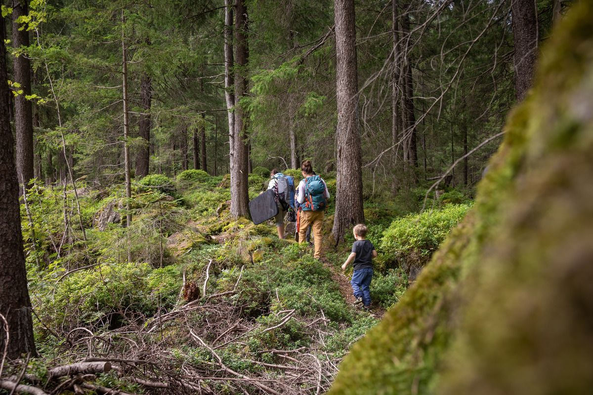 Auf dem Weg zum Bouldergebiet Höll. 