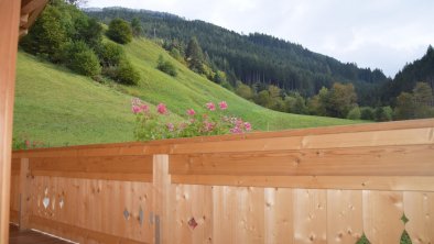 Blick vom Balkon - Erholung