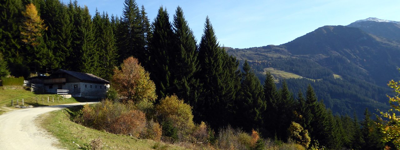 Weg zum Gasthof Loas, © Tirol Werbung