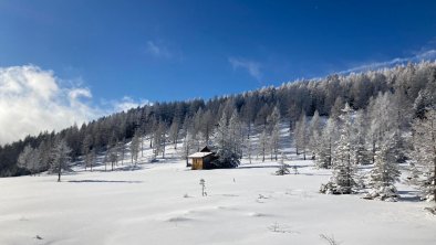 Schneeschuhwandern