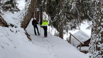 Schneeschuhwanderung Bergblick-Vadiesen