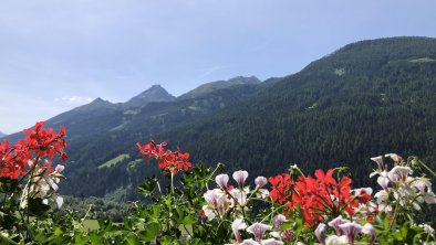 Schlossnerhof Bergblick, © Ingrid Weiskopf