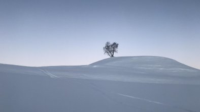 Idyllische Winterlandschaft Serfaus