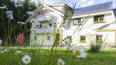 Haus Alpenglühn Osttirol Lienz Iselsberg Ferienwoh