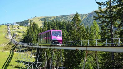 Standseilbahn Sommer, © Elisabeth Schnegg