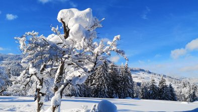 Winter, © Kathrin Schmid