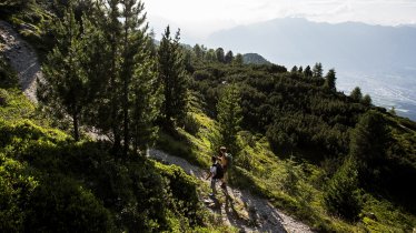 Zirbenweg vom Patscherkofel zum Glungezer, © Region Hall-Wattens/Daniel Zangerl