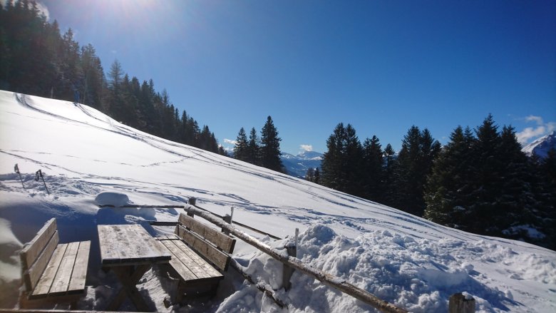 Ausblick von der Patscher Alm, Foto: Julia König