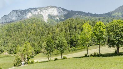 Söll-Landhaus-Ager-Gartenzimmer-Aussicht-Poelven, © Landhaus Ager/Hans Ager