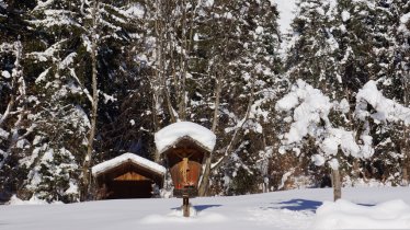 Winterwanderung: Absam - Thaur, © Hall-Wattens