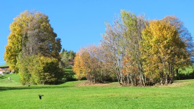 Herbst Niederau Ausblicke. Rechte Wildschönau Tour