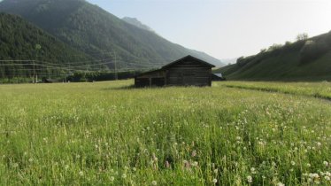 Aussicht im Sommer vom Stella Alpina