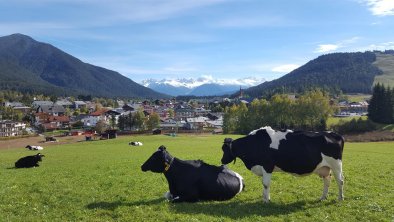 Geigenbühel Seefeld, © M.J. de Ruiter