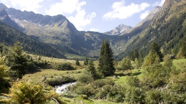 Wandern im Gschnitztal, © Tirol Werbung / Markus Jenewein