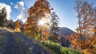 Herbstimpressionen_TVB_Wildschoenau_Dabernig_10_20