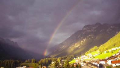 regenbogen harry