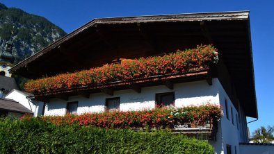 Bauernhof Berndlerhof Langkampfen Sommer