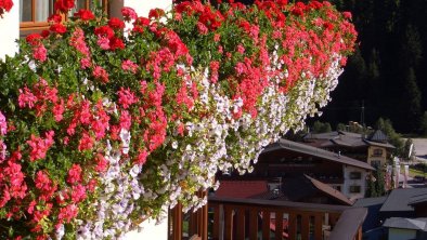 Blumenschmuck, Panorama, © Haus Panorama