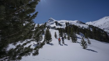 Im Gurgler Zirbenwald, © Ötztal Tourismus