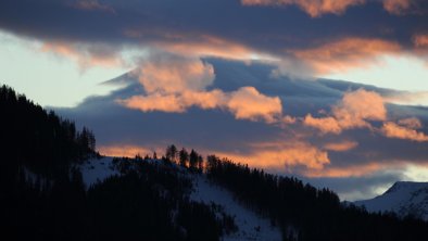 blick vom fenster