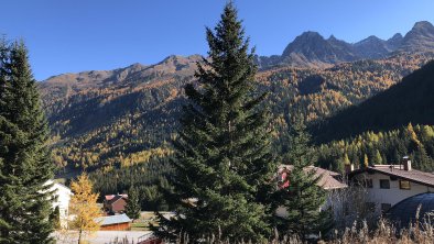 Blick von der Terrasse1