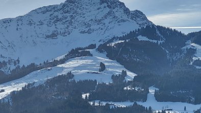 Blick auf's Kitzbühler Horn