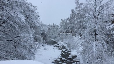 schnee jän (2)