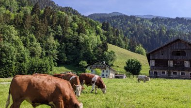 Unser Bauernhof, © Korberhof