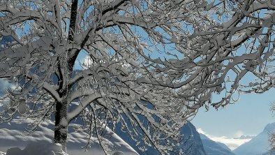 Winter in Oetzerau