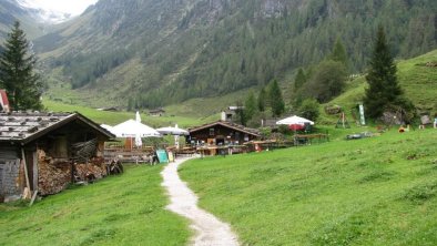 Alm, © Almen im Zillertal