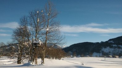 Stimmung Januar 2019, © Sepp FRANZ