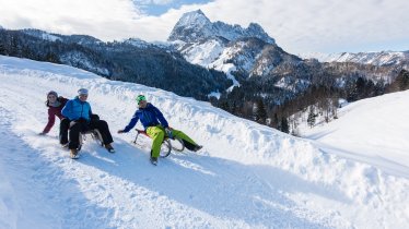 Naturrodelbahn Bacheralm, © Gerdl Franz