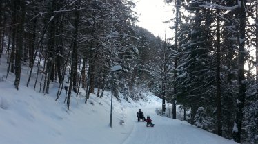 Rodelbahn Brandenberg, © Alpbachtal Tourismus